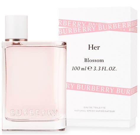 香港 burberry 官网|Burberry perfume in hong kong.